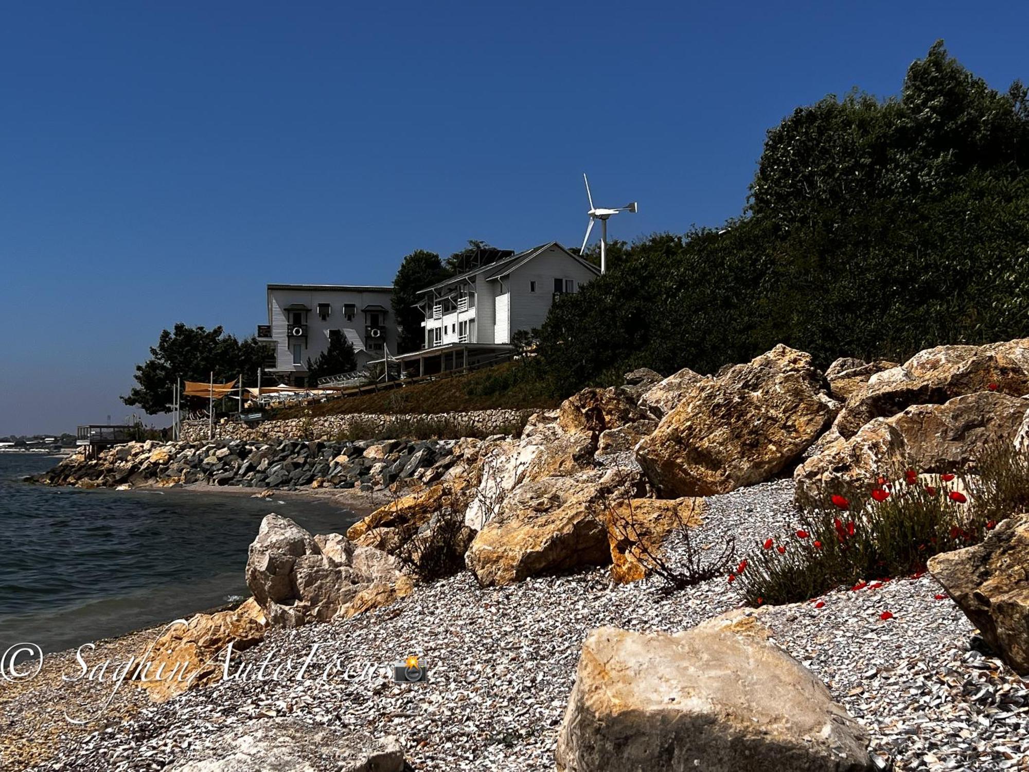 Sea&Sky Villa Costinesti Exteriör bild